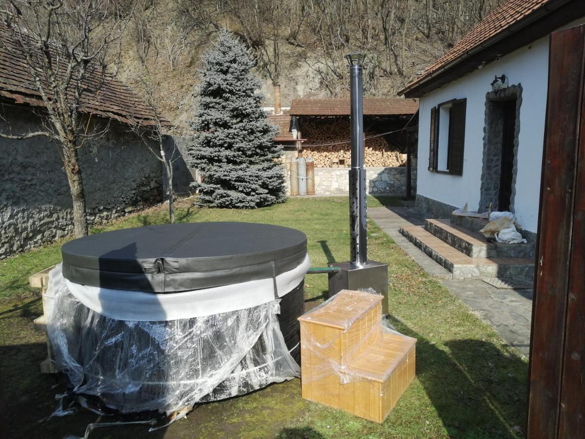 Casa Sasca Montana Villa Exterior photo